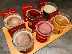 -Boxing Cat Brewery拳击猫精酿啤酒馆(永福店)