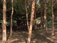 -长白岛森林公园