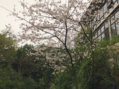 -百林公园-两江幸福广场