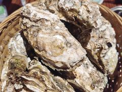 -蚝堡海鲜·威海菜·海肠捞饭·烧烤·亚洲吃蚝公司(幸福门店)