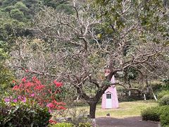 -广州白江湖森林公园