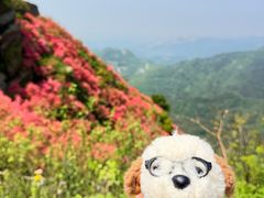 -木兰云雾山