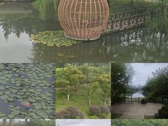 -洋湖国家湿地公园