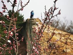 -蟠龙山长城景区