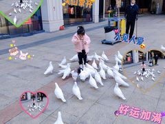 -大鹏佳兆业广场