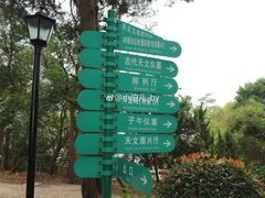 -紫金山天文台