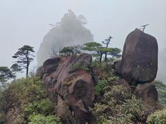 -三清山风景名胜区