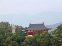 -金鸡山公园