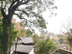 -岳麓山风景名胜区
