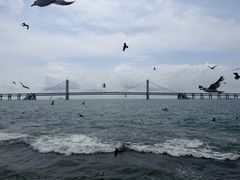 -星海广场