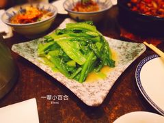 樱花虾生菜-度小月(百老汇美食街店)