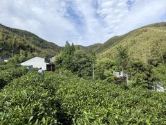 -莫干山风景区