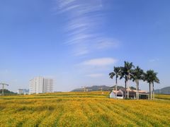 -光明小镇欢乐田园