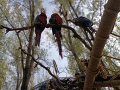 -北京野生动物园