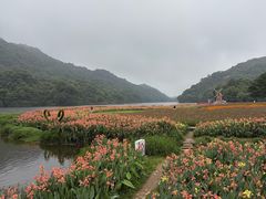 -广州市石门国家森林公园