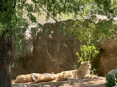 -北京野生动物园