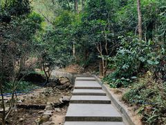 -火炉山森林公园