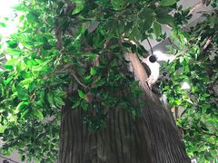 -春熙小馆(乘风庄店)