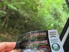 -莫里热带雨林景区