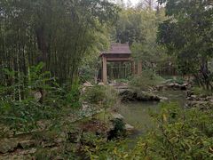 -汇龙潭