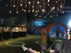 -石家庄海洋公园