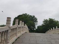 -塘沽森林公园
