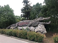 -中国扬子鳄村