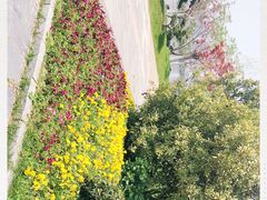 -艾溪湖湿地公园