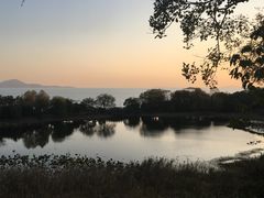 -上海市保健医疗中心