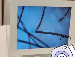 -希梵尔头皮抗衰·科技养发
