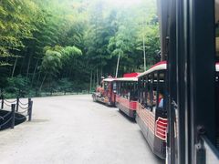 -天目湖山水园