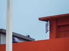 -南湖公园地摊集市
