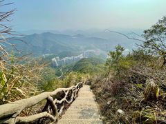 -梧桐山风景名胜区