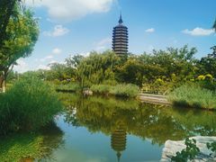 -西海子公园