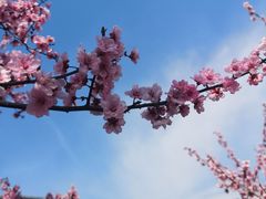 -白塘生态植物园