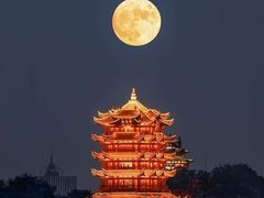 -芦月轩羊蝎子(太平桥店)