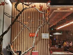 -京华烟云·北京烤鸭(领展购物广场·中关村店)