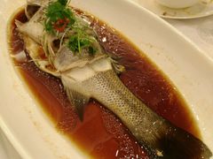 蒸海鲈鱼-碧丽宫大酒店(召稼楼店)