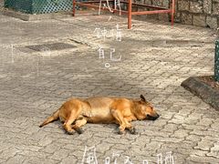 -大澳渔村及棚屋