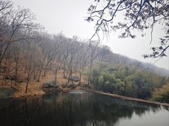 -鲁山国家森林公园