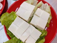 -蚝羊氣惠来羊肉火锅·高压锅生蚝