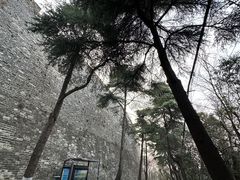 -紫金山山顶公园