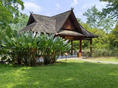-中国科学院西双版纳热带植物园