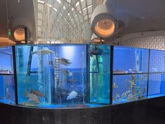 -王家渡火锅店(棕榈泉店)
