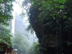 -碧峰峡风景区