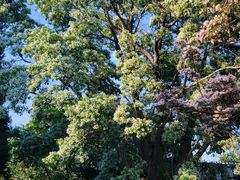 -国家植物园南园