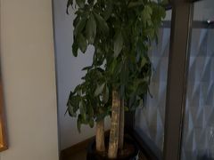 -浅深Cheersum(曹杨店)