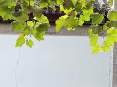 -北京石刻艺术博物馆(五塔寺)