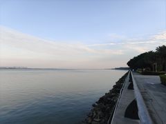 -大湾区中央湿地公园