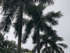 -广州市白云山风景名胜区